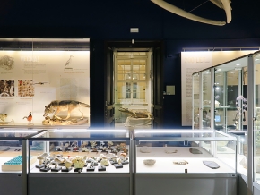 prirodoslovni muzej ljubljana 7-2023 9118